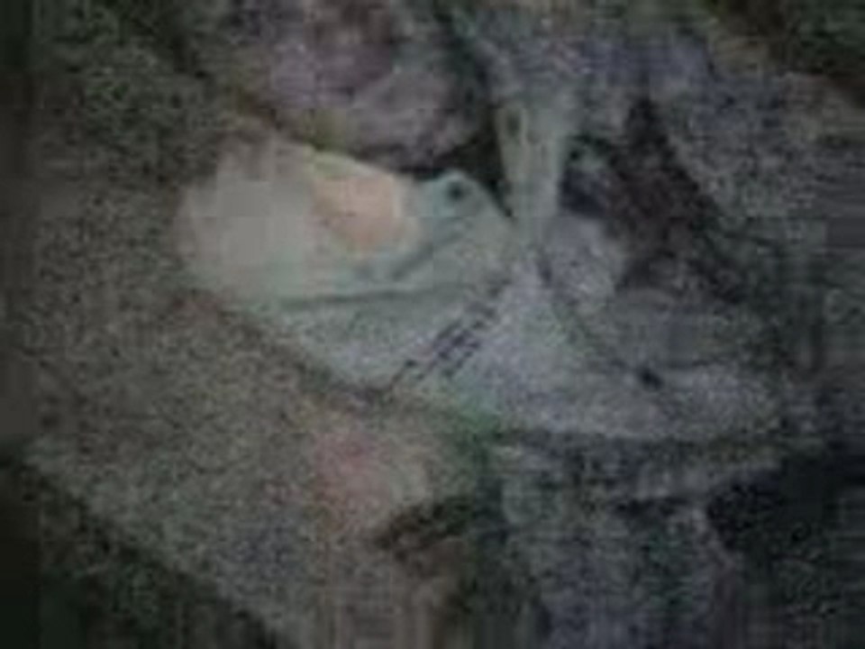 Slt j mapele yohan mdr