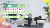 Isometria de membros alternados com os joelhos no chão - Melhor com Saúde