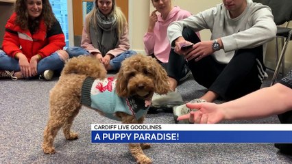 GOODLINES: 6th December 2019