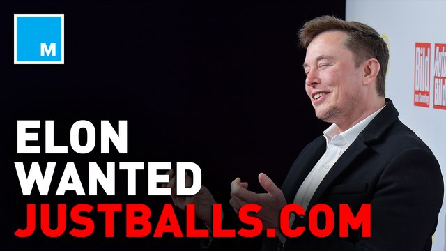 Elon Musk considered buying justballs.com domain