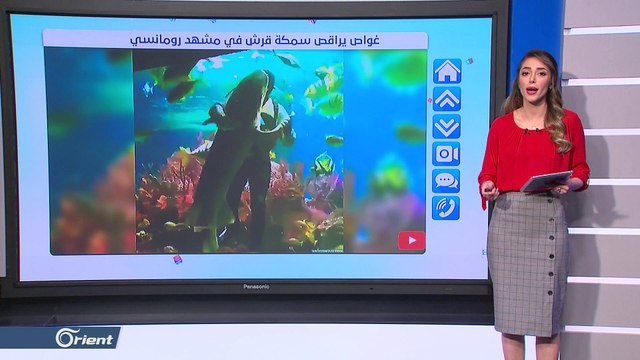 هل يمكن أن تجرب الرقص مع سمكة قرش؟ هذا الغواص يراقص سمكة قرش في مشهد رومانسي للغاية - FOLLOE UP