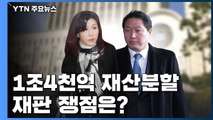 노소영 맞소송...'1조4천억 재산분할' 재판 쟁점은? / YTN