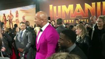 Karen Gillan, The Rock and Kevin Hart come to blows!