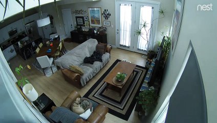 Caméra de surveillance : cette araignée a fait sa toile dessus !