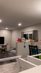 Un lapin se cache dans cette vidéo. Arriverez-vous à le trouver?