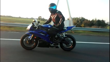 Wait For Me - Giraffe Squad - SiriusRider