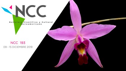 Noticiero Científico y Cultural Iberoamericano, emisión 193. 09 al 15 de diciembre 2019.