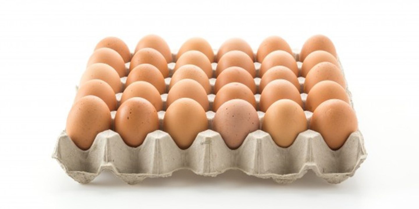 Todo lo que puedes hacer con una caja de huevos...