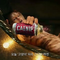 [#캣츠] No.1 퍼포먼스 영상