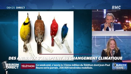 Objectif Terre : Des animaux s'adaptent au changement climatique - 06/12