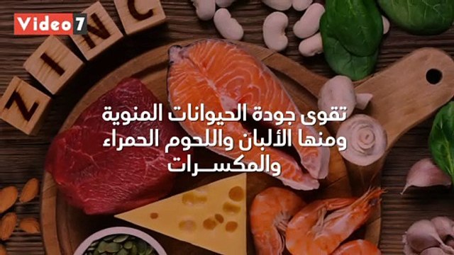 فيديو معلوماتى.. أطعمة لو جوزك تناولها فرص الحمل عندك هتزيد