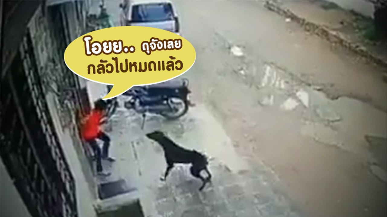 เร็วกว่านี้.. แม่ต้องเปิดประตูให้หนูเร็วกว่านี้ นาทีขำ ! เด็ก หมา ประตูบ้าน