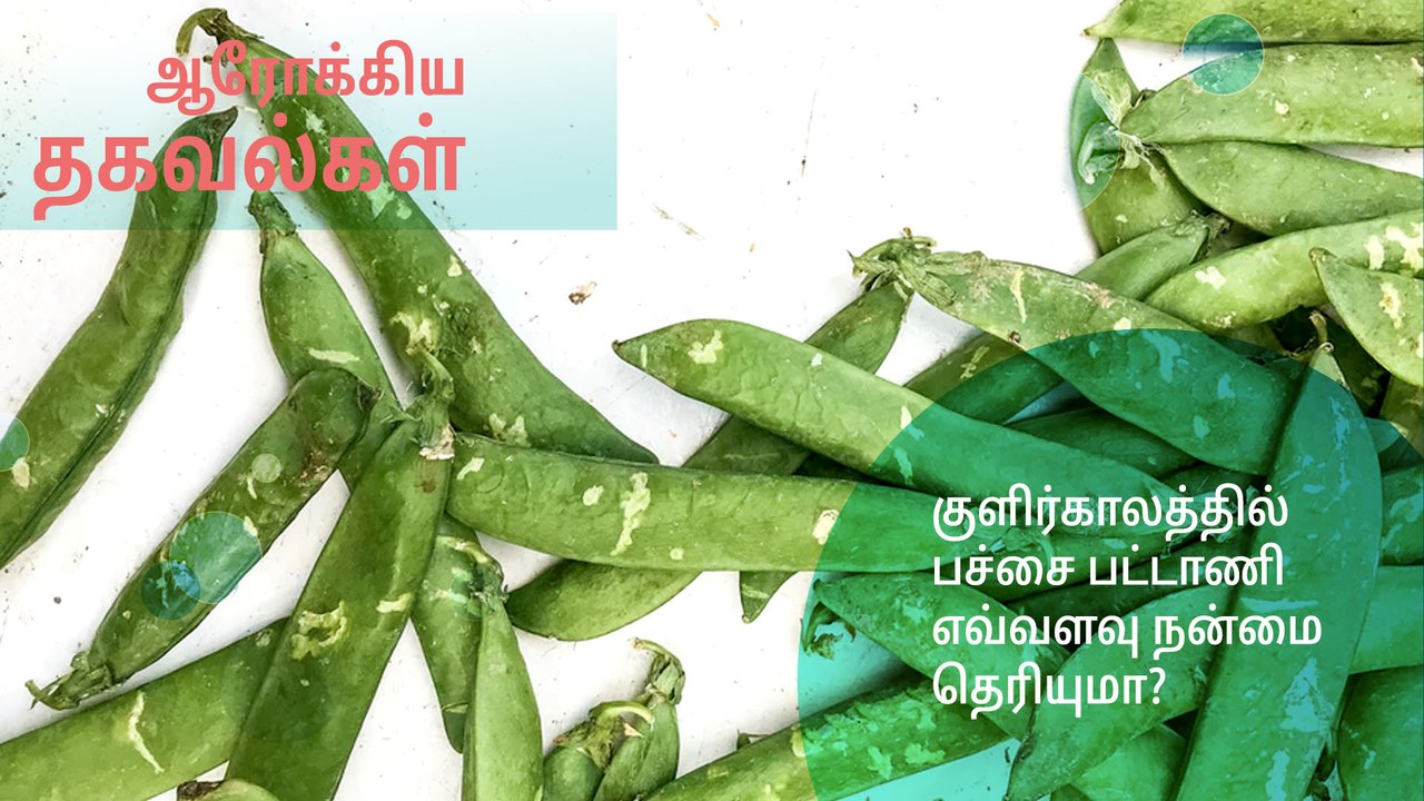 குளிர்காலத்தில் பச்சை பட்டாணி எவ்வளவு நன்மை  தெரியுமா?