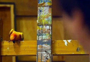 인터넷국내경마 G D S P 2 . 콤 ◑ 온라인경마