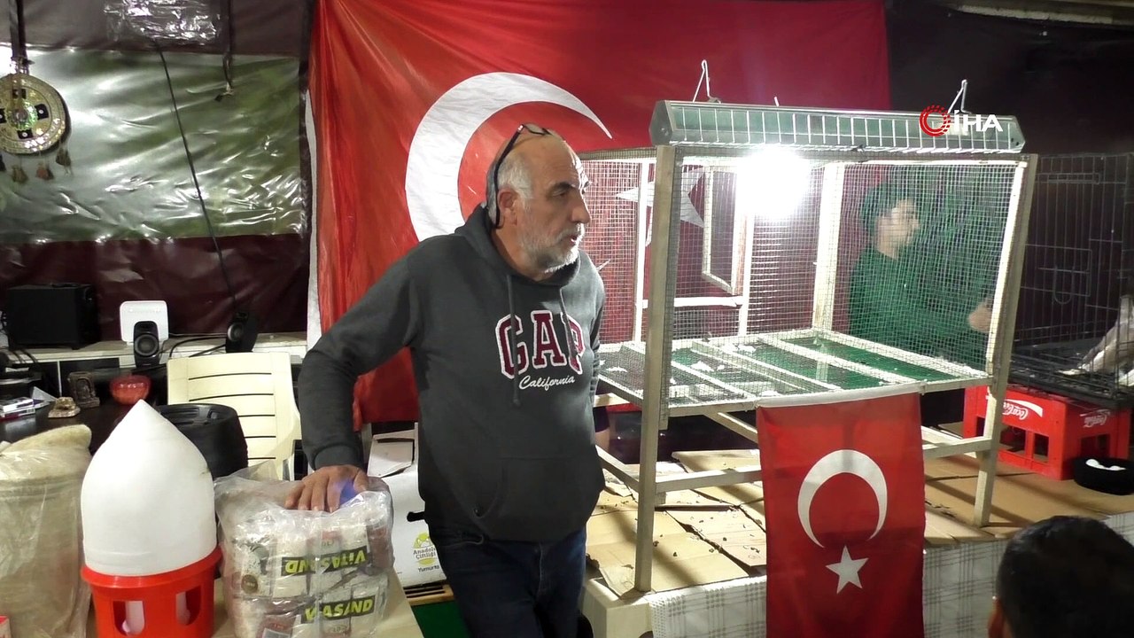 Bu horozun bir kap çorbası 350 Dolar