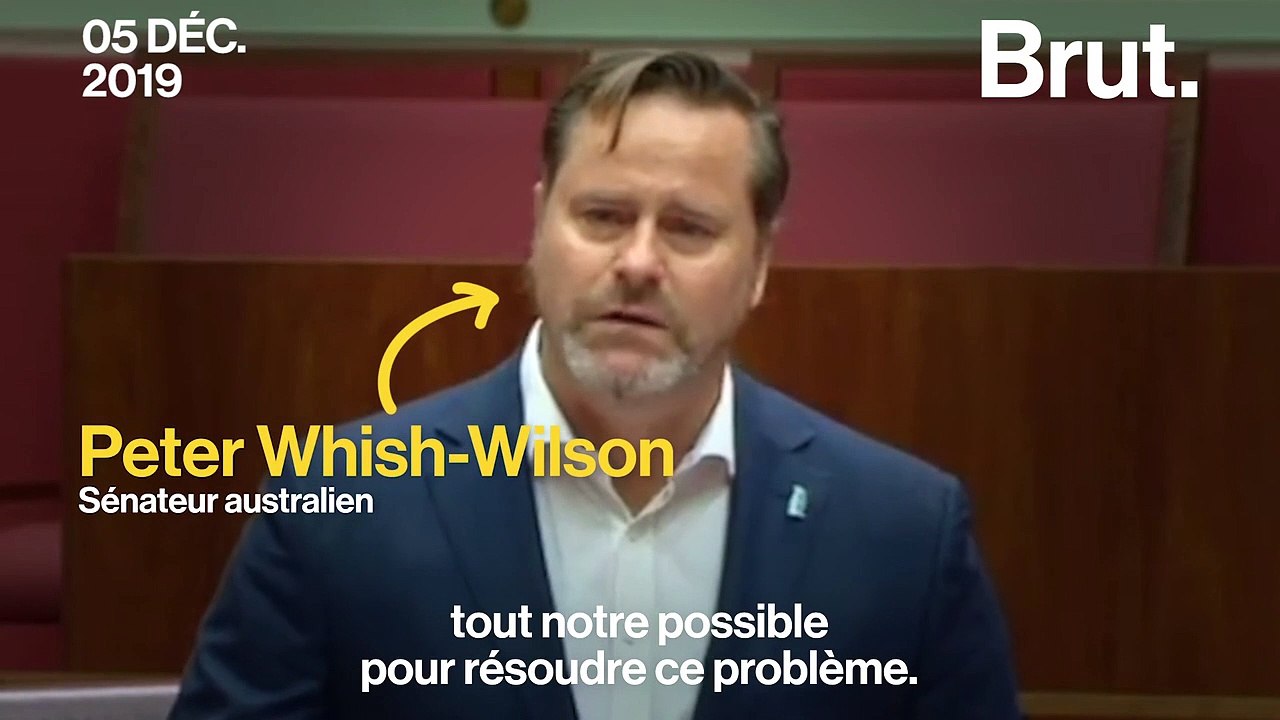 "Vous trouvez ça drôle que les océans meurent ?" : la colère d'un sénateur australien