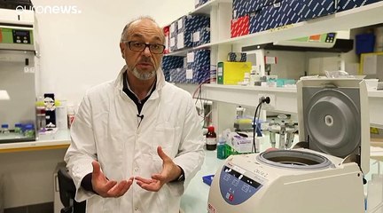 Alternative zur Gänsestopfleber: "Naturfette" Foie Gras aus Toulouse