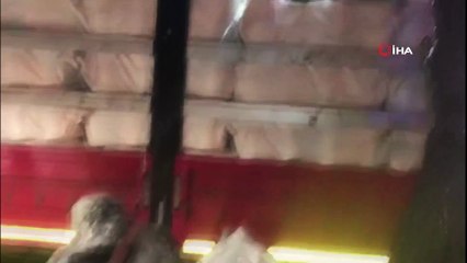 Tekstil eşyalarının içinde 350 bin paket kaçak sigara ele geçirildi