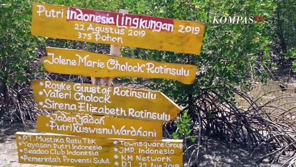 Beajar dari Kesalahan untuk Jadi Lebih Baik | PLN Peduli - SINAR KEHIDUPAN