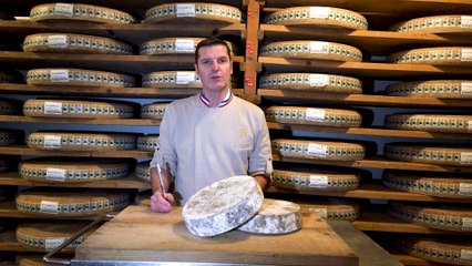 TOUT UN FROMAGE  : la tomme boudane- Christian Janier