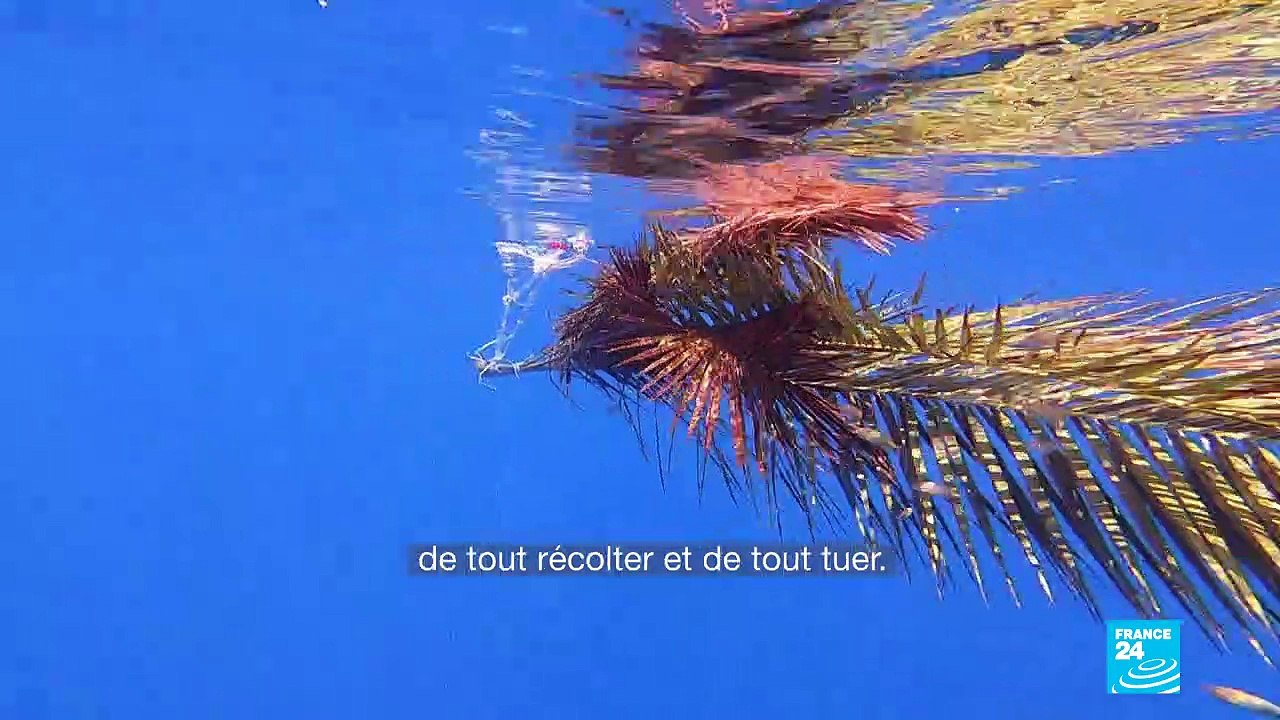 Pêche illégale en eaux siciliennes
