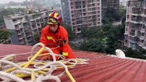 Chinese firefighters rescue Samoyed dog trapped on seven-story building's roof
