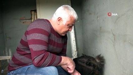 Munzur Vadisinde ilk defa  'Kara Akbaba'  görüldü