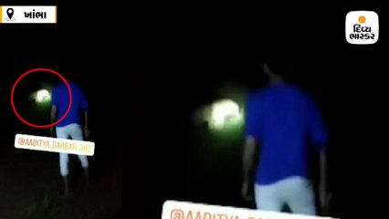 તુલસીશ્યામ રેન્જના રબારીકા રાઉન્ડમાં રાત્રે હાથબત્તી લઇ યુવાને સિંહની પજવણી કરી, બીજા યુવાને વીડિયો ઉતાર્યો