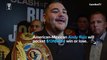 Andy Ruiz Jr vs Anthony Joshua: Facts to know about the clash