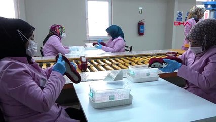 Van-gevaş'ta 300 kişinin istihdam edildiği fabrika törenle açıldı