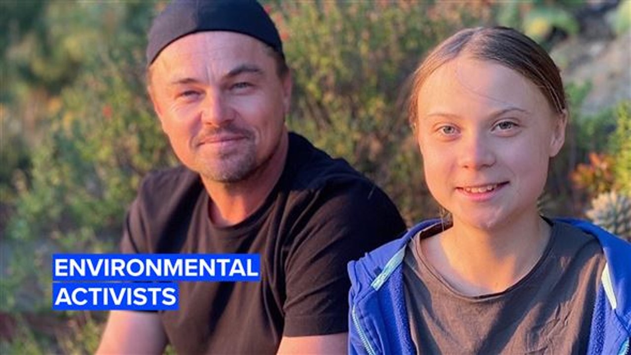 3 celebs fighting for the environment