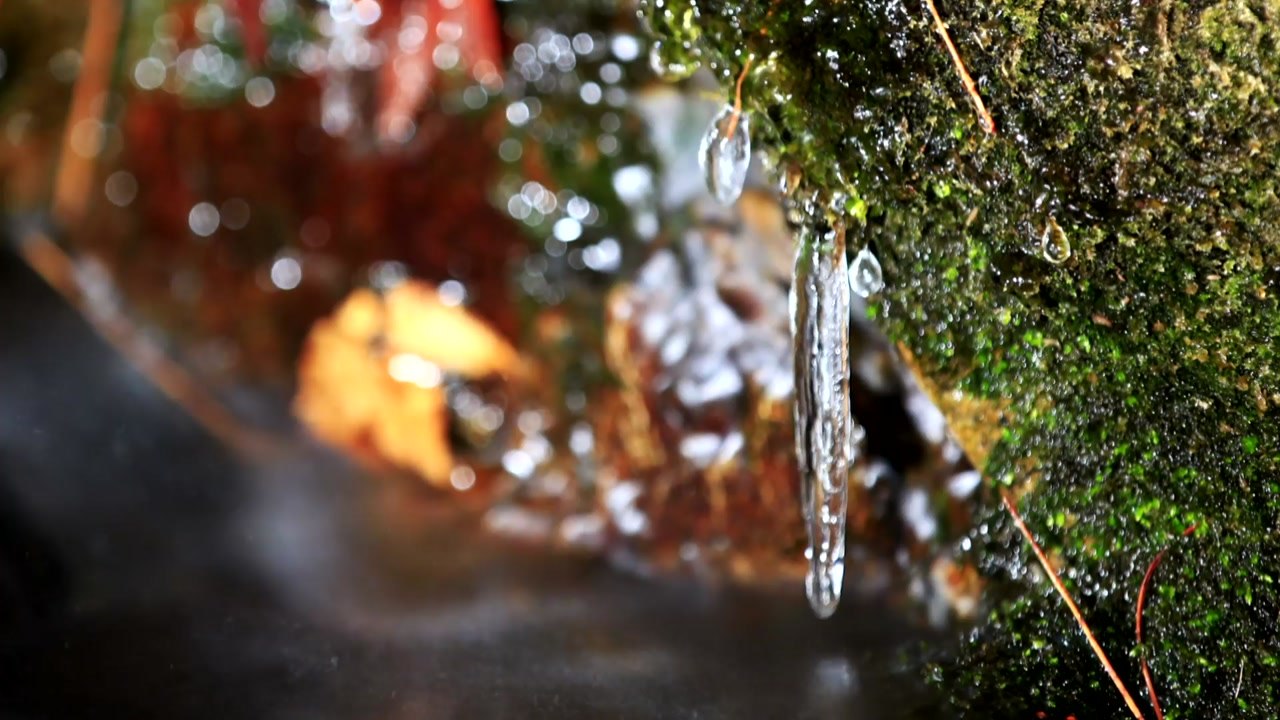 [영상] 가을 위에 쓴 겨울 이야기 / YTN