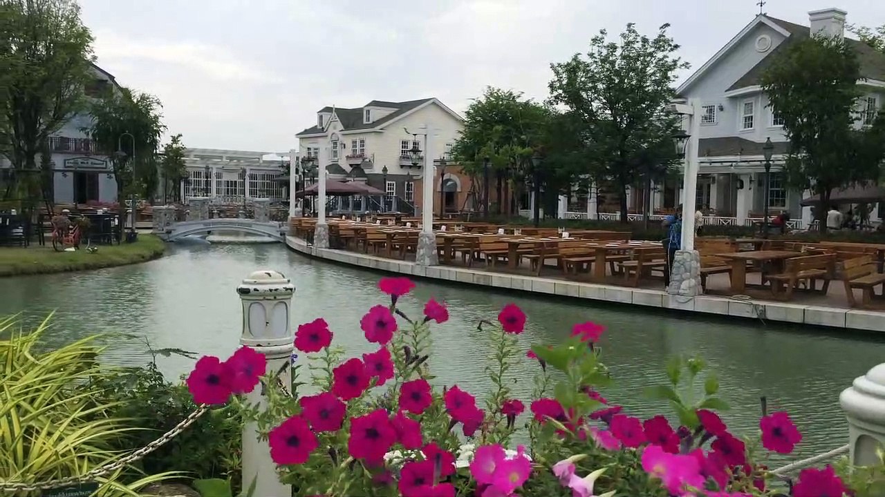 Flower on the River