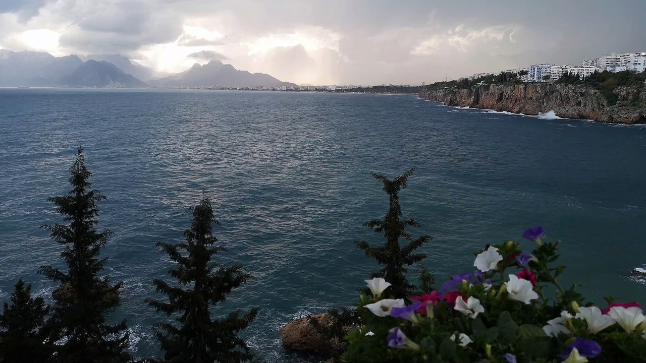 Ocean