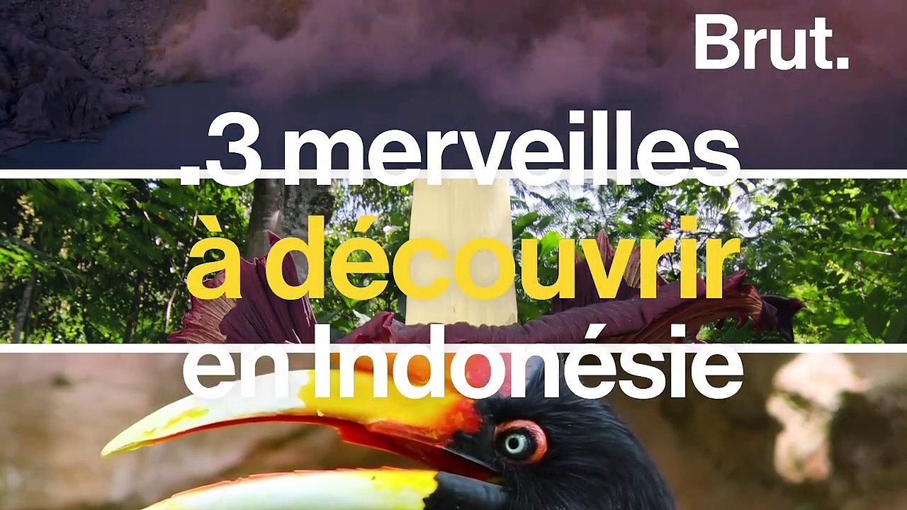 Voici trois merveilles à découvrir en Indonésie