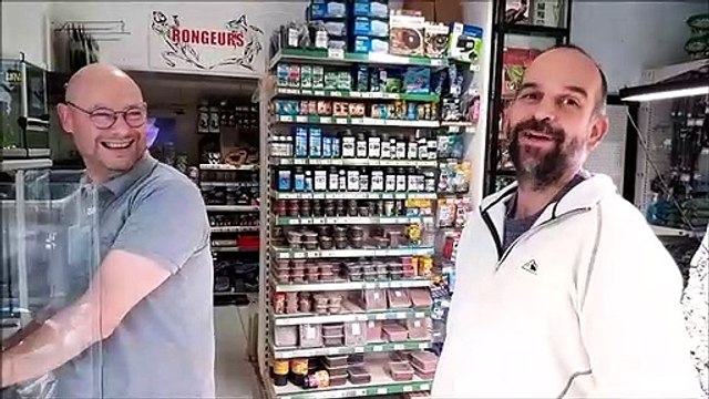 Serpents et geckos : dans les coulisses de l'animalerie Aquarius