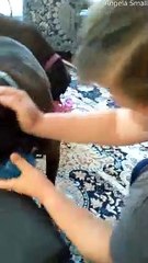 Adorable Dog's Tongue Does Funny Trick