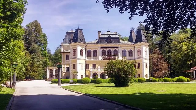 Elon Musk Buys Out the Neighbors