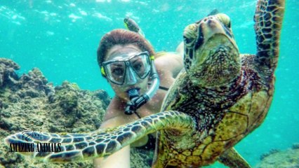 funny selfie with animals سيلفي مع الحيوانات