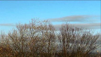 Magla     Improvisation  guitar. improvizacija klasične gitare