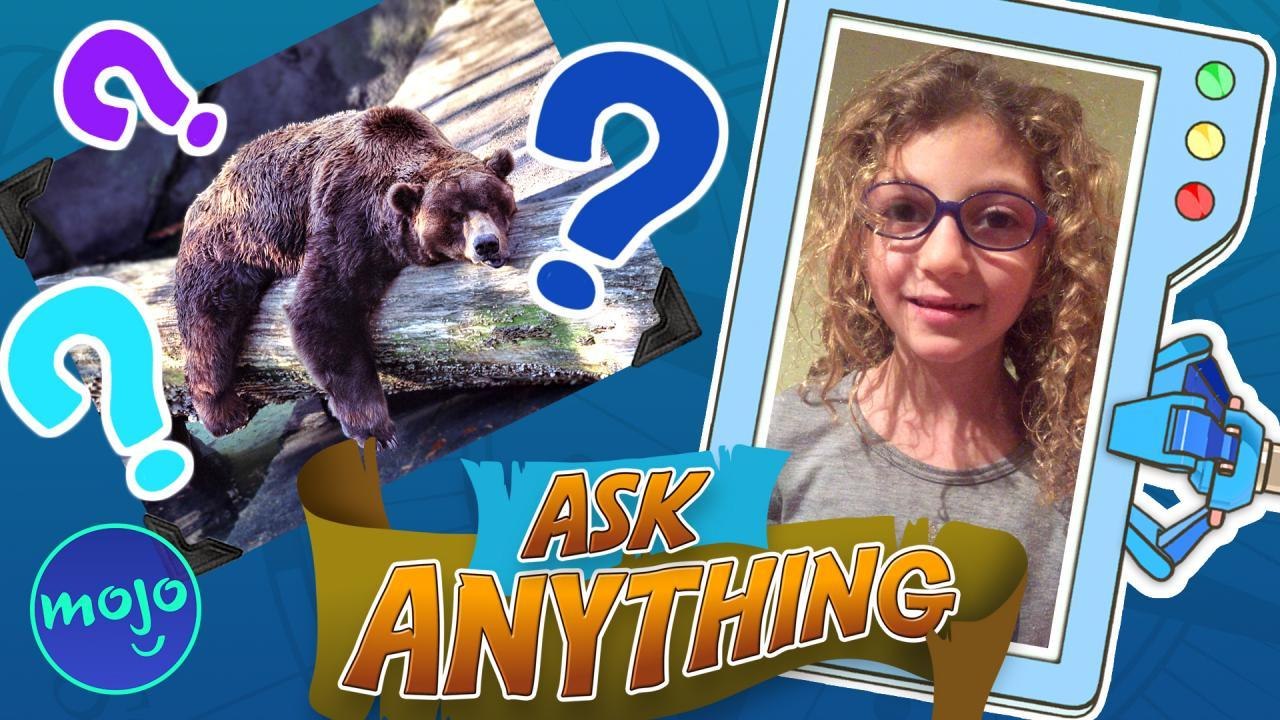 Why Do Animals Hibernate?