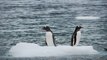 Así derrite el calentamiento global el hielo 'eterno' de la Antártida