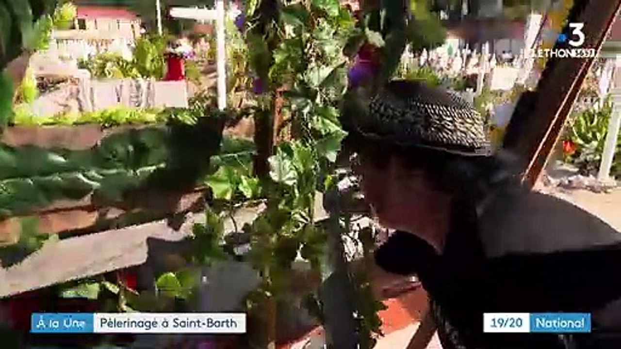 Johnny Hallyday : deux ans après sa mort, les fans se recueillent à Saint-Barth