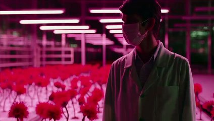 Little Joe Film Clip