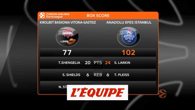 Vitoria corrigé à domicile par l'Efes Istanbul - Basket - Euroligue (H)