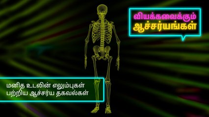 மனித உடலின் எலும்புகள் பற்றிய ஆச்சர்ய தகவல்கள்..!