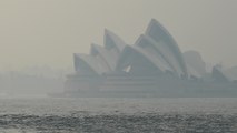 Sydney air quality 12 times worse than ‘hazardous’ level as Australian bush fires rage on