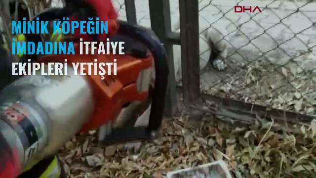 Minik köpeğin imdadına itfaiye ekipleri yetişti