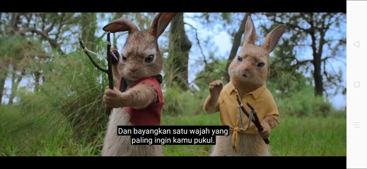 The adventures peter rabbit (part 5)
