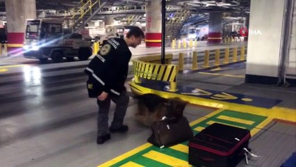 İstanbul Havalimanı'nda 1 buçuk milyonluk kokain operasyonu